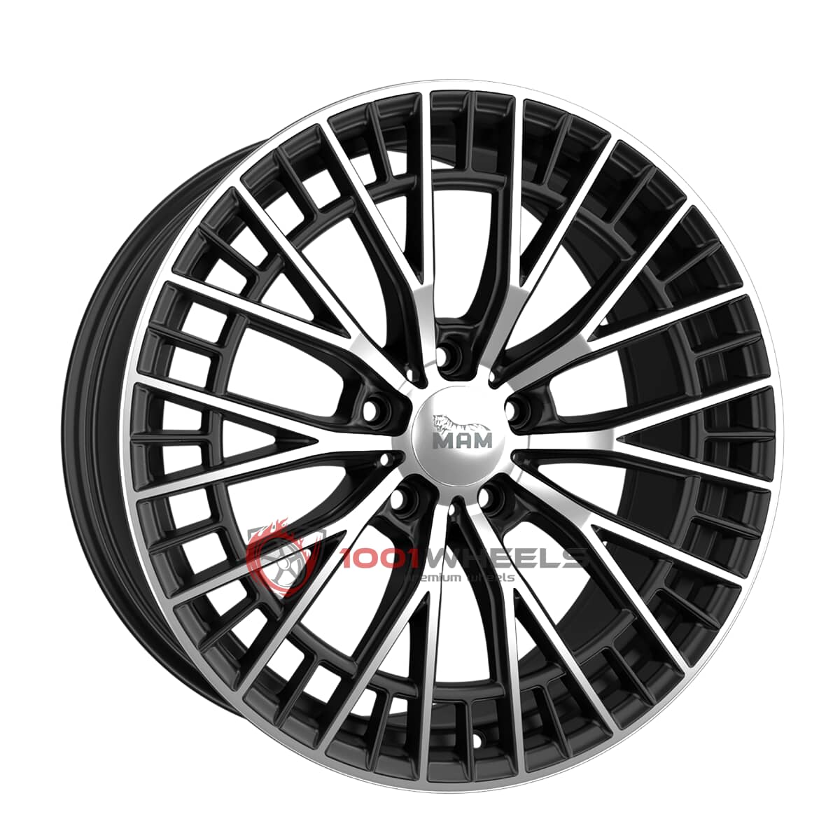 MAM GT2 BLACK FRONT POLISH